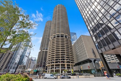 Lake Michigan - Cook County Condo Active Under Contract in Chicago Illinois