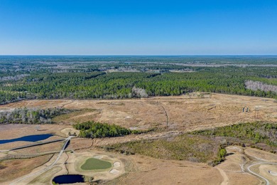 Excellent opportunity to own 99 acres off of Hoover Rd. adjacent - photo 4