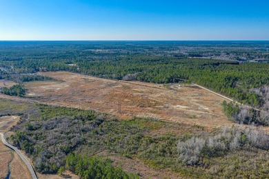Excellent opportunity to own 99 acres off of Hoover Rd. adjacent - photo 5