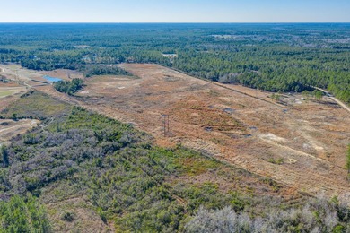 Excellent opportunity to own 99 acres off of Hoover Rd. adjacent - photo 6