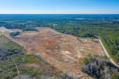 Excellent opportunity to own 99 acres off of Hoover Rd. adjacent - photo 7