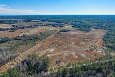 Excellent opportunity to own 99 acres off of Hoover Rd. adjacent - photo 8