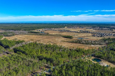 Excellent opportunity to own 99 acres off of Hoover Rd. adjacent - photo 10