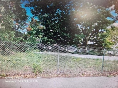 A Beautiful and great corner land on Francis Lewis Blvd with the - photo 7