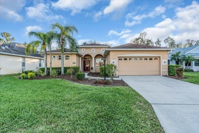 Summerfield Lake Home For Sale in Lakewood Ranch Florida