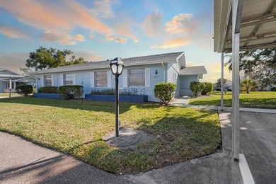 (private lake, pond, coastal) Condo For Sale in Sun City Center Florida