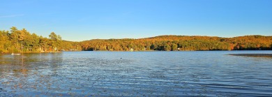 Lake Hortonia Home For Sale in Hubbardton Vermont