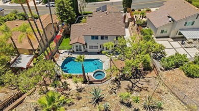 Welcome to this beautifully updated Rancho Penasquitos home with - photo 41