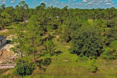 Lehigh Acres Area Lot For Sale in Lehigh Acres Florida
