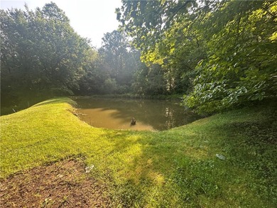 Private country setting. Enjoy the abundance of privacy. Home - photo 9