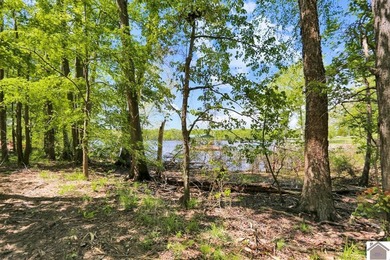Rare opportunity for acreage on KY LAKE! This beautiful 3.72 - photo 11