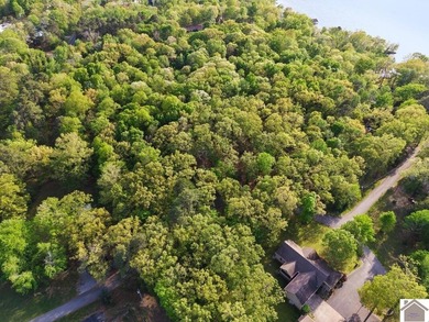 Rare opportunity for acreage on KY LAKE! This beautiful 3.72 - photo 12