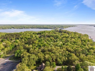 Rare opportunity for acreage on KY LAKE! This beautiful 3.72 - photo 14