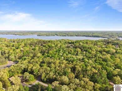 Rare opportunity for acreage on KY LAKE! This beautiful 3.72 - photo 15