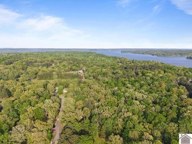 Rare opportunity for acreage on KY LAKE! This beautiful 3.72 - photo 16