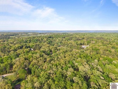 Rare opportunity for acreage on KY LAKE! This beautiful 3.72 - photo 17