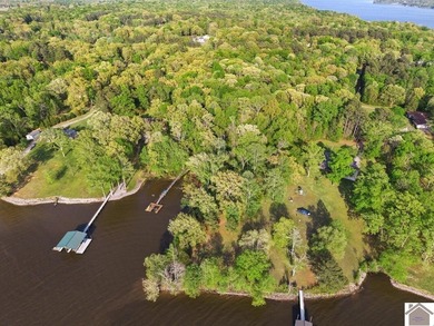 Rare opportunity for acreage on KY LAKE! This beautiful 3.72 - photo 21