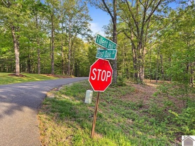 Rare opportunity for acreage on KY LAKE! This beautiful 3.72 - photo 22