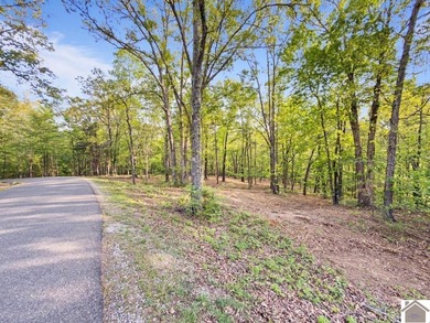 Rare opportunity for acreage on KY LAKE! This beautiful 3.72 - photo 23