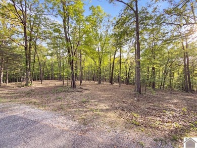 Rare opportunity for acreage on KY LAKE! This beautiful 3.72 - photo 24