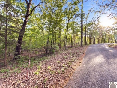 Rare opportunity for acreage on KY LAKE! This beautiful 3.72 - photo 25
