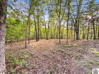 Rare opportunity for acreage on KY LAKE! This beautiful 3.72 - photo 26