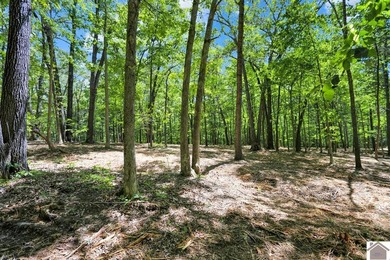 Rare opportunity for acreage on KY LAKE! This beautiful 3.72 - photo 27