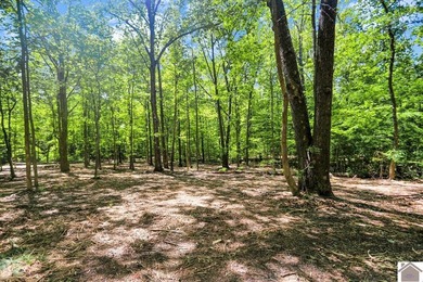 Rare opportunity for acreage on KY LAKE! This beautiful 3.72 - photo 28