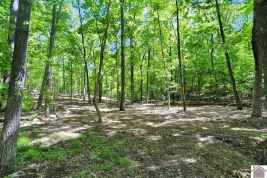 Rare opportunity for acreage on KY LAKE! This beautiful 3.72 - photo 29