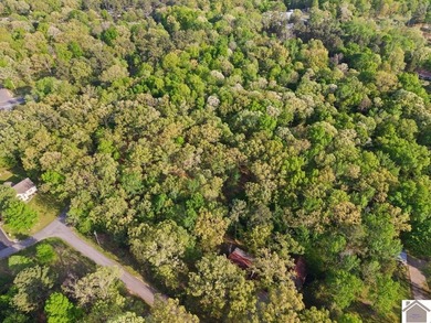 Rare opportunity for acreage on KY LAKE! This beautiful 3.72 - photo 30