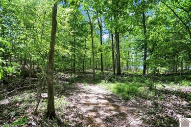 Rare opportunity for acreage on KY LAKE! This beautiful 3.72 - photo 31