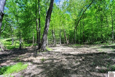 Rare opportunity for acreage on KY LAKE! This beautiful 3.72 - photo 33