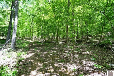 Rare opportunity for acreage on KY LAKE! This beautiful 3.72 - photo 34