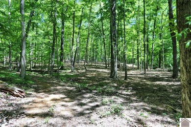 Rare opportunity for acreage on KY LAKE! This beautiful 3.72 - photo 35