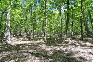 Rare opportunity for acreage on KY LAKE! This beautiful 3.72 - photo 36