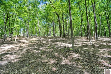 Rare opportunity for acreage on KY LAKE! This beautiful 3.72 - photo 37