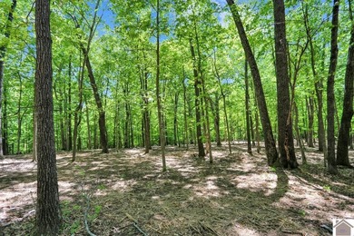 Rare opportunity for acreage on KY LAKE! This beautiful 3.72 - photo 38