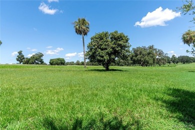 STEAL OF THE CENTURY! Are you looking for a beautiful home in a - photo 39