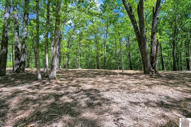 Rare opportunity for acreage on KY LAKE! This beautiful 3.72 - photo 39