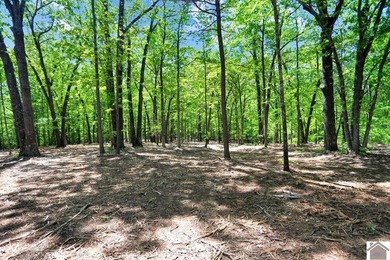Rare opportunity for acreage on KY LAKE! This beautiful 3.72 - photo 40