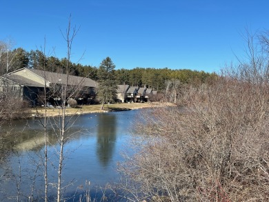 (private lake, pond, creek) Condo For Sale in West Bend Wisconsin