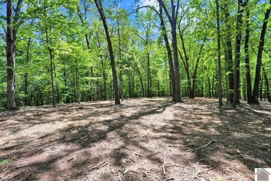 Rare opportunity for acreage on KY LAKE! This beautiful 3.72 - photo 41