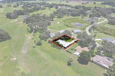 STEAL OF THE CENTURY! Are you looking for a beautiful home in a - photo 49