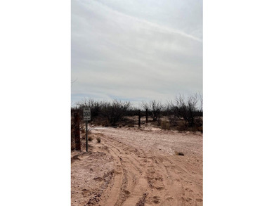 (private lake, pond, coastal) Acreage For Sale in Grandfalls Texas