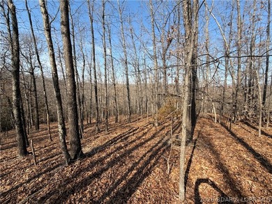 Great 5 acres of land located just outside of Camden County's - photo 12