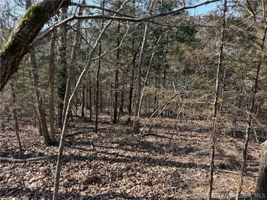 Great 5 acres of land located just outside of Camden County's - photo 13