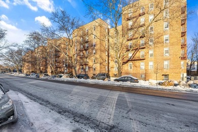 243 McDonald Ave, apartment 3F, sits at the rear corner of the