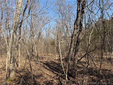 Great 5 acres of land located just outside of Camden County's - photo 19