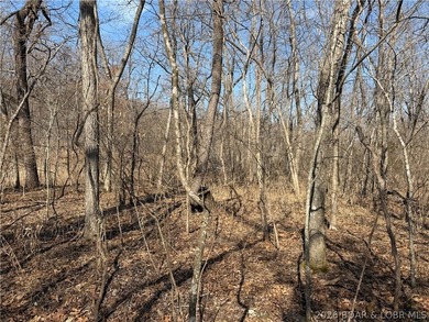 Great 5 acres of land located just outside of Camden County's - photo 20