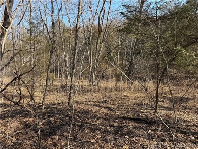 Great 5 acres of land located just outside of Camden County's - photo 21